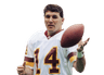Mark Rypien
