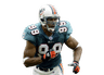 Jason Taylor